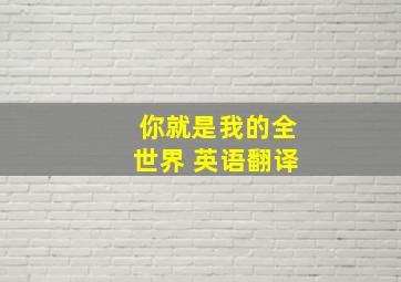 你就是我的全世界 英语翻译